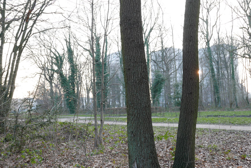La forêt régionale de Bondy, prise au Panasonic Lumix DMC-LX100, 02 2015, Ph. Moctar KANE.