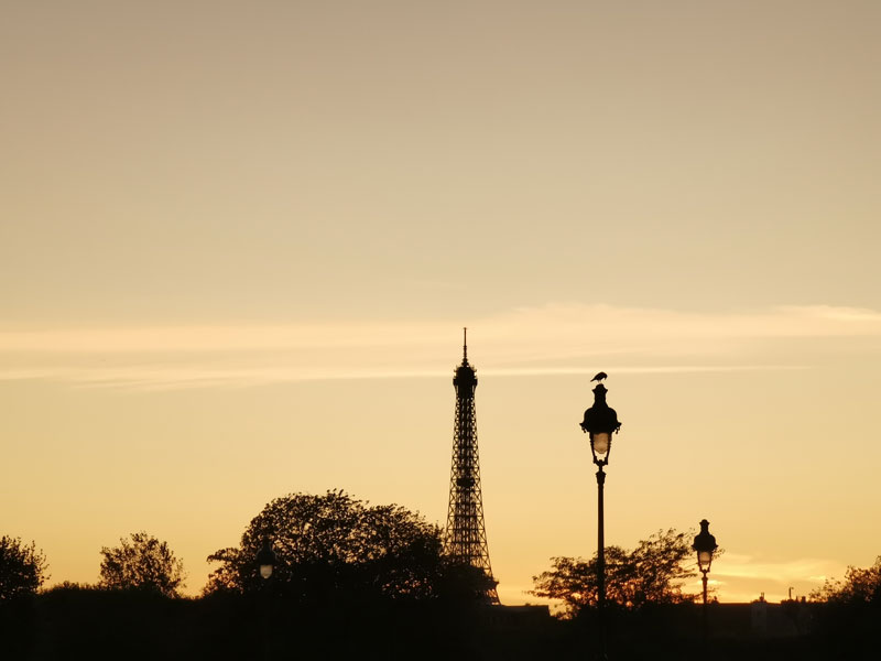 La Tour Eiffel aux alentours du crépuscule, au Huawei P30 Pro, Paris, 2019, Ph. Moctar KANE.