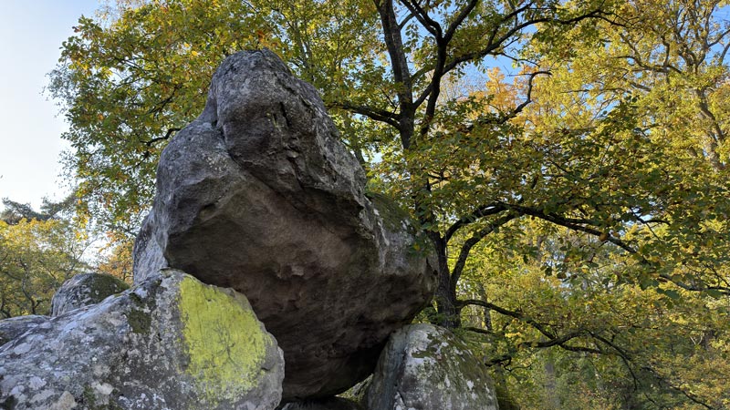 Randonnée d'automne en Forêt de Fontainebleau, 11 2022, Ph. Moctar KANE.